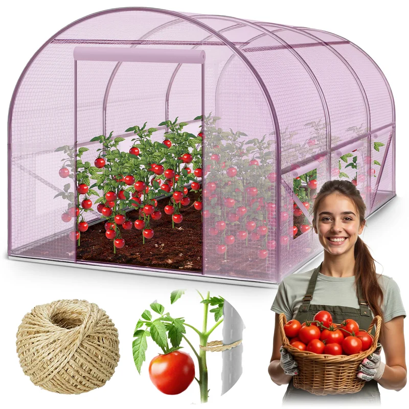 2026_05_26_1289521