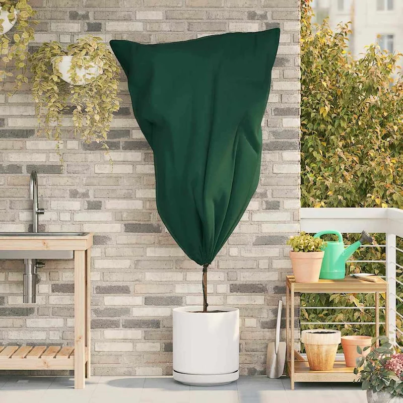 2026_05_27_1541618
